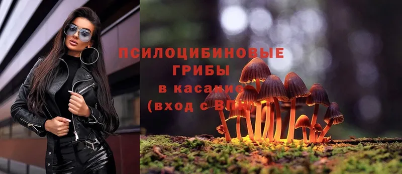 shop официальный сайт  Лахденпохья  Галлюциногенные грибы Psilocybine cubensis 