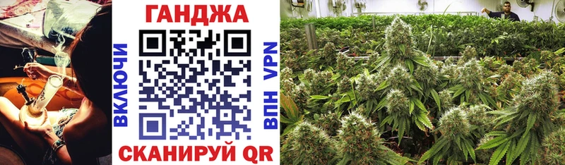 Конопля сатива Лахденпохья
